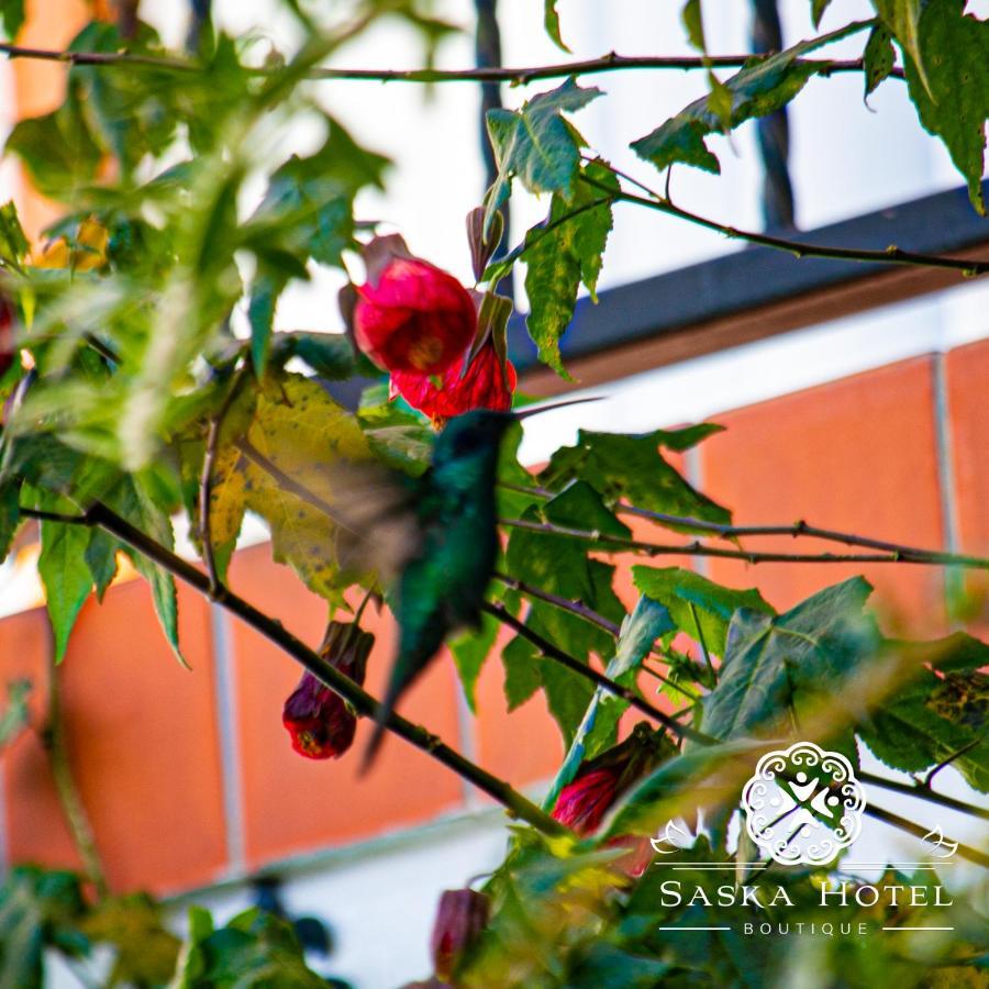 Saska Boutique Hotel Cusco Exterior foto